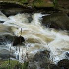 Das Butterfass im Waldnaabtal