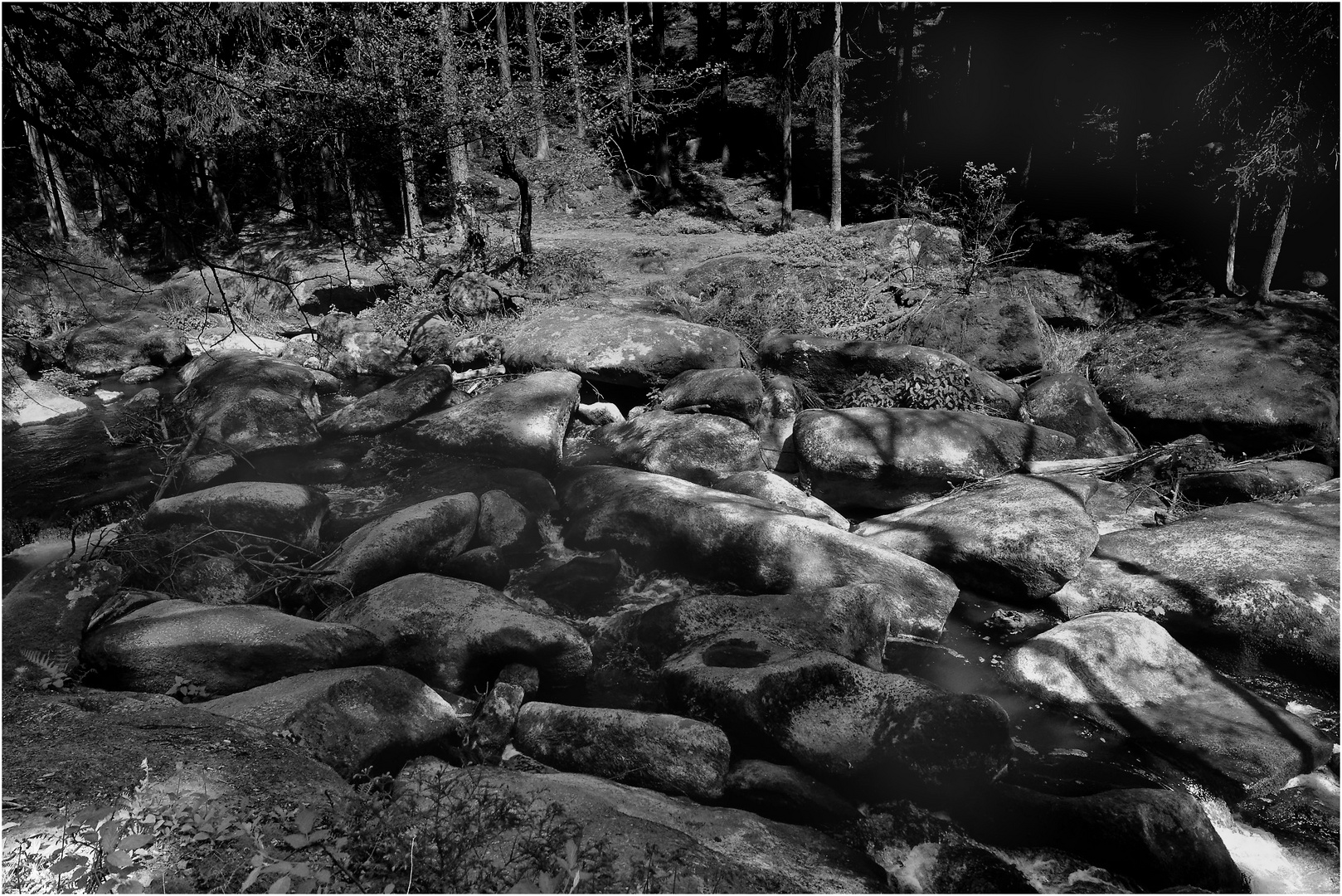 Das Butterfass im Waldnaabtal im Mai 2020