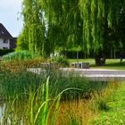 Das Cafe am Teich in Leinefelde Bild IV