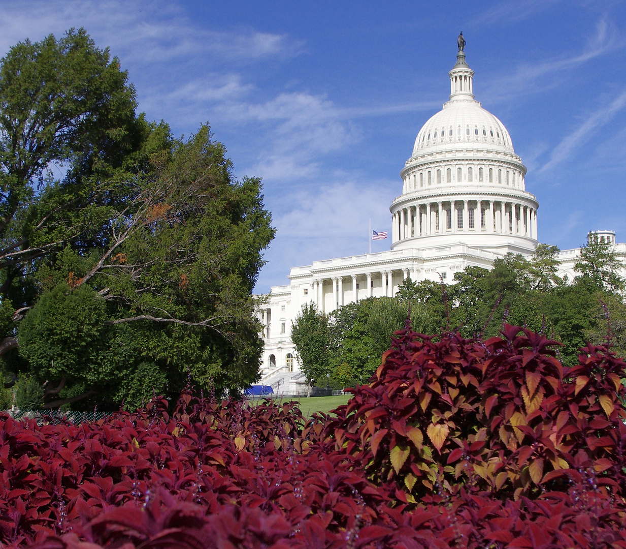 Das Capitol in Washington