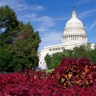 Das Capitol in Washington