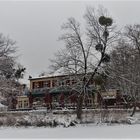 Das Carolaschlösschen im Großen Garten Dresden