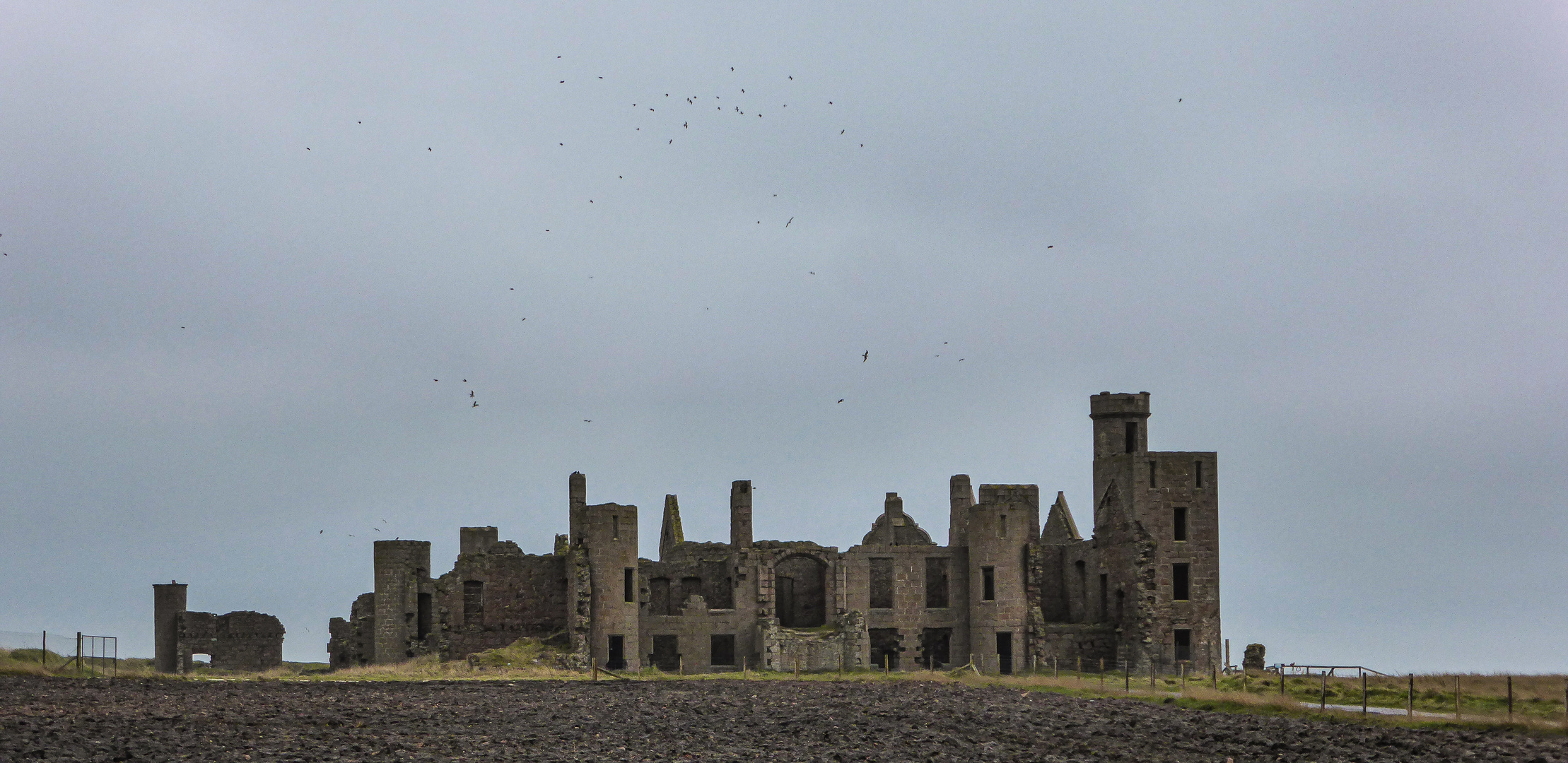 Das Castle an der Cruden Bay...