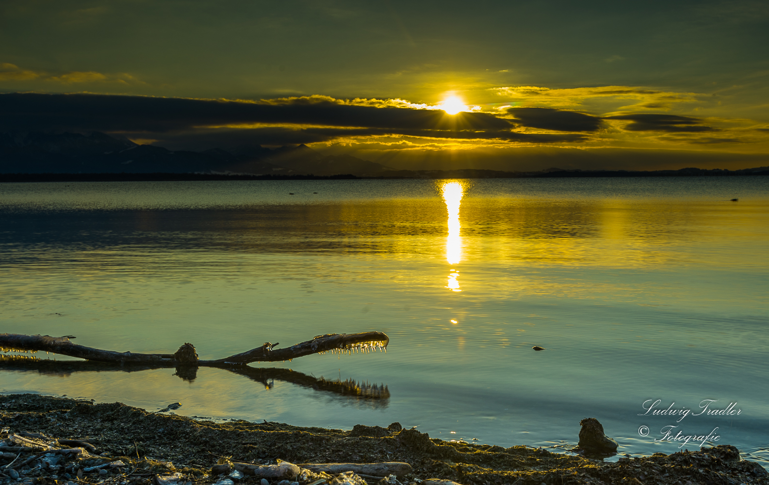 das Chiemsee Ungeheuer