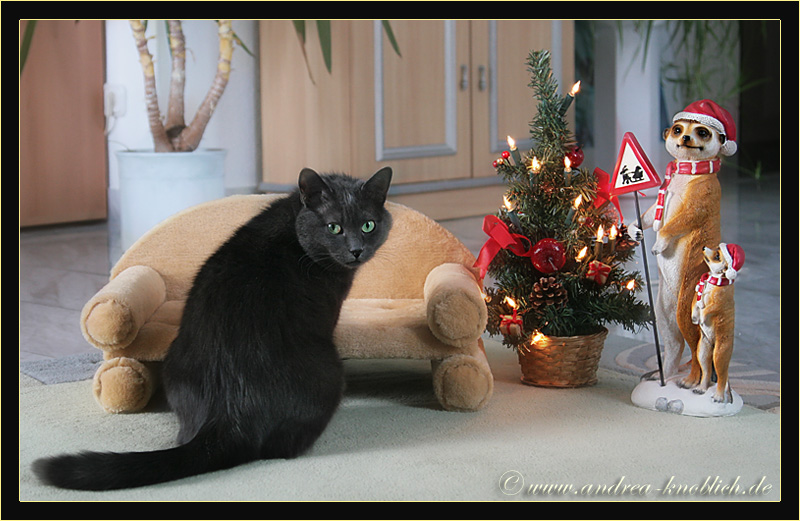 ° Das Christkind kann jetzt kommen ... °