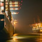 Das Containerschiff „Maersk Candor“