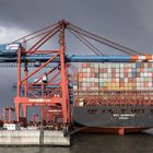 Das Containerterminal Burchardkai / Waltershof