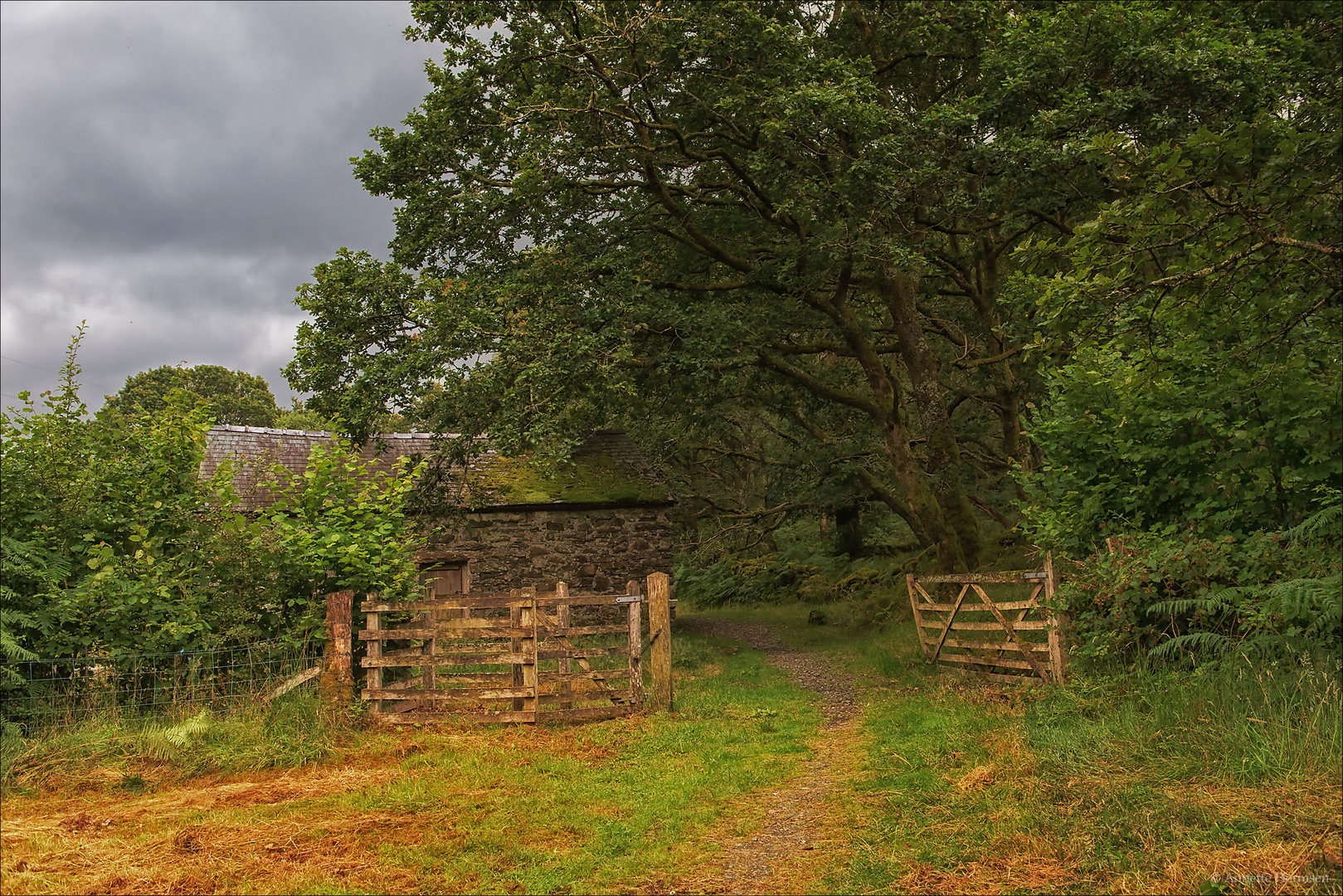 Das Cottage Foto & Bild architektur, europe, united kingdom & ireland