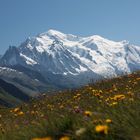 Das "Dach" des alten Europa - der Mt. Blanc (4810m)