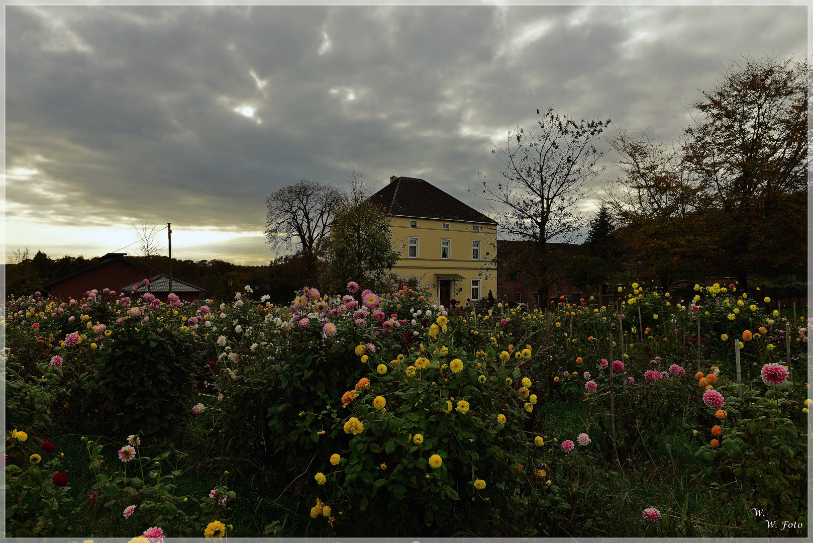 Das Dahlienhaus