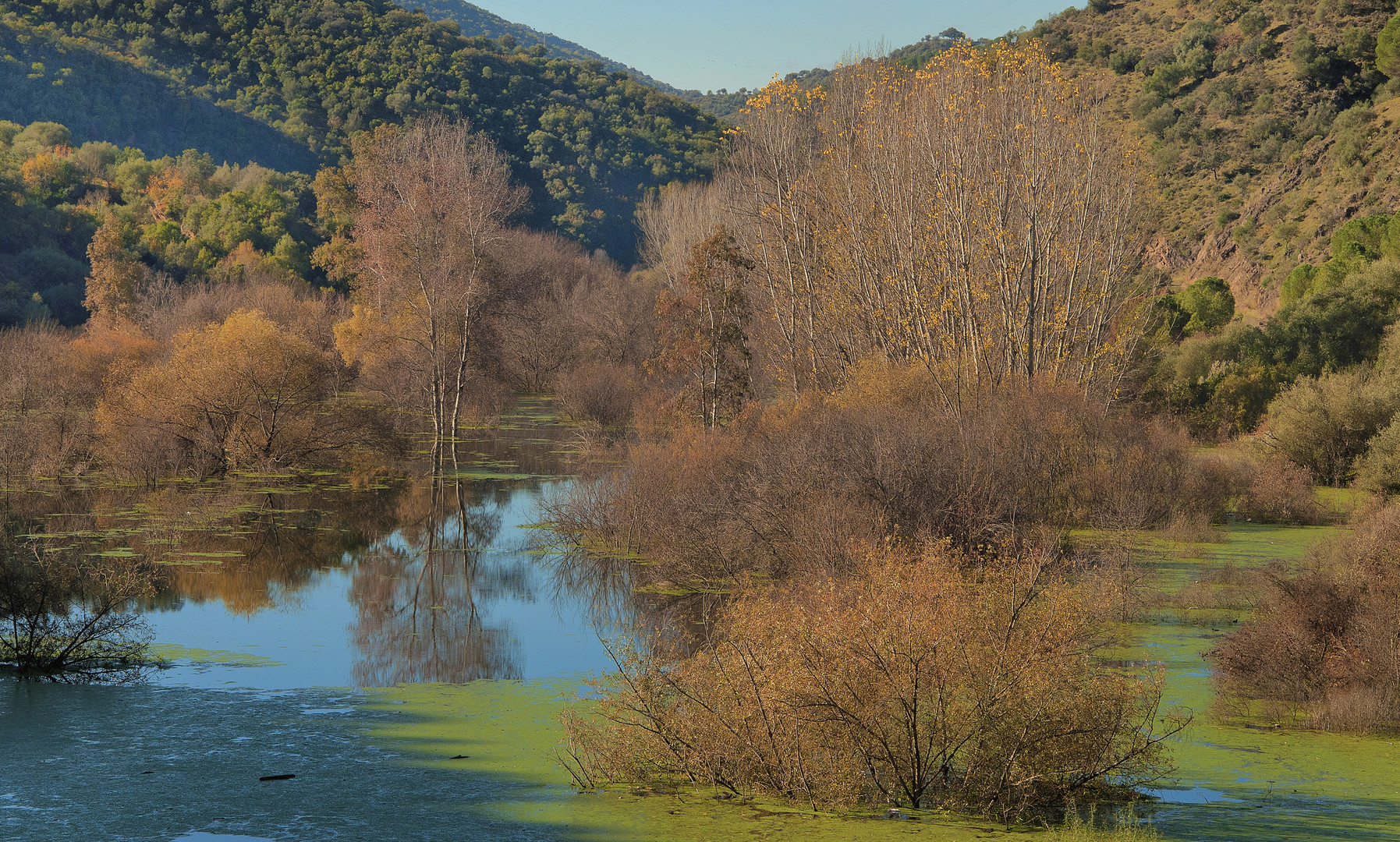 DÍAS DE OTOÑO VI