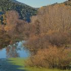 DÍAS DE OTOÑO VI