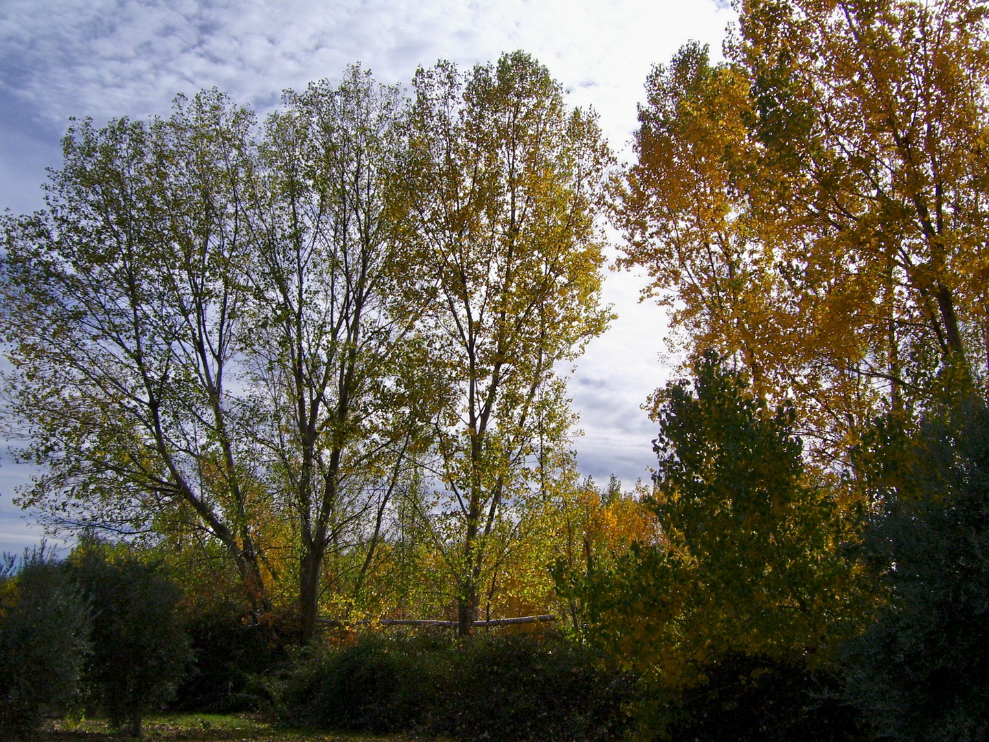 DÍAS DE OTOÑO...FERNANDO LÓPEZ   fOTOGRAFÍAS...