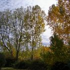 DÍAS DE OTOÑO...FERNANDO LÓPEZ   fOTOGRAFÍAS...