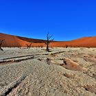 Das Deadvlei