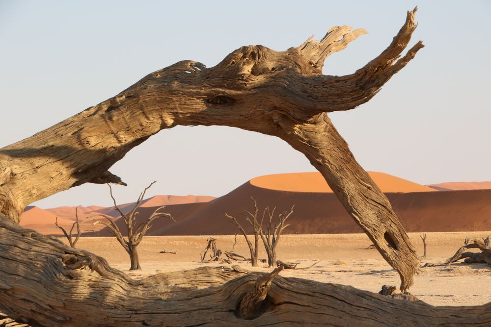 Das Deadvlei