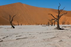 Das Deadvlei