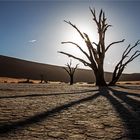 Das Deadvlei