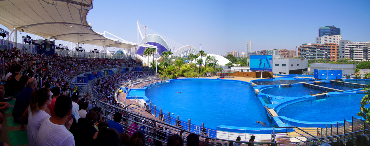 Das Delfinarium von València