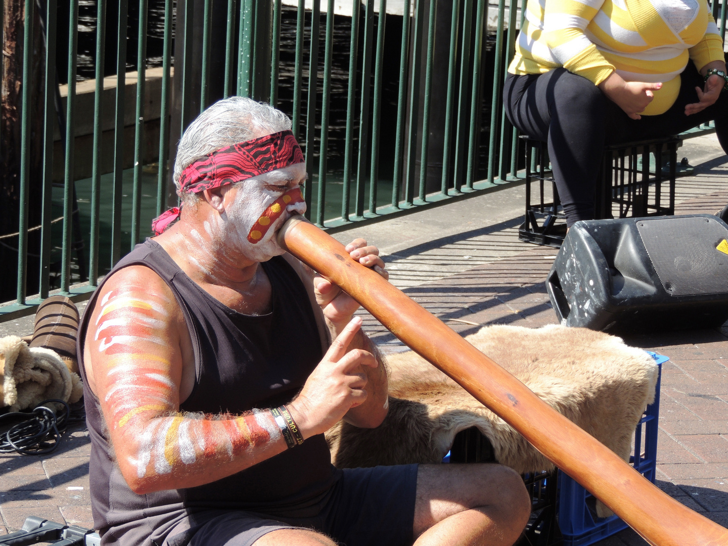 Das Didgeridoo