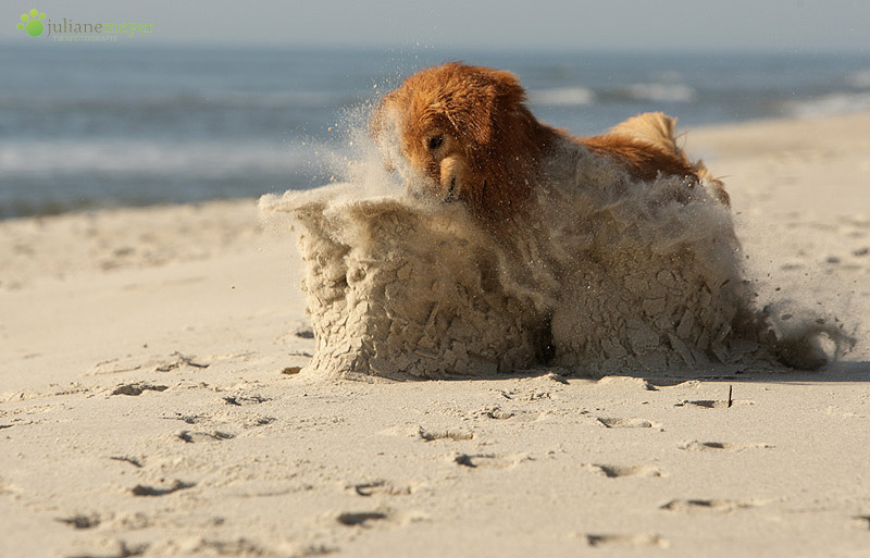 Das Ding aus dem Sand