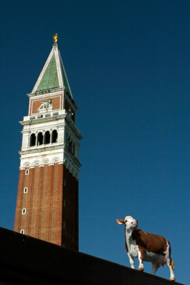 Das Ding in Venedig