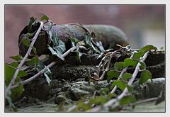 Das Dings in der Fensterbank