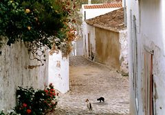 Das Dorf Alte, Algarve