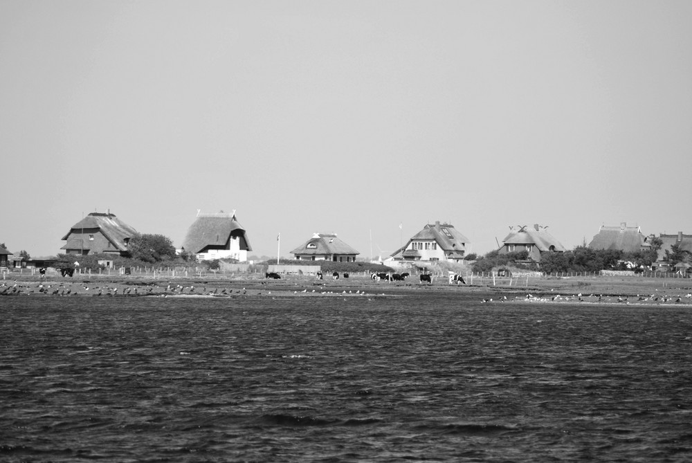 Das Dorf am Meer