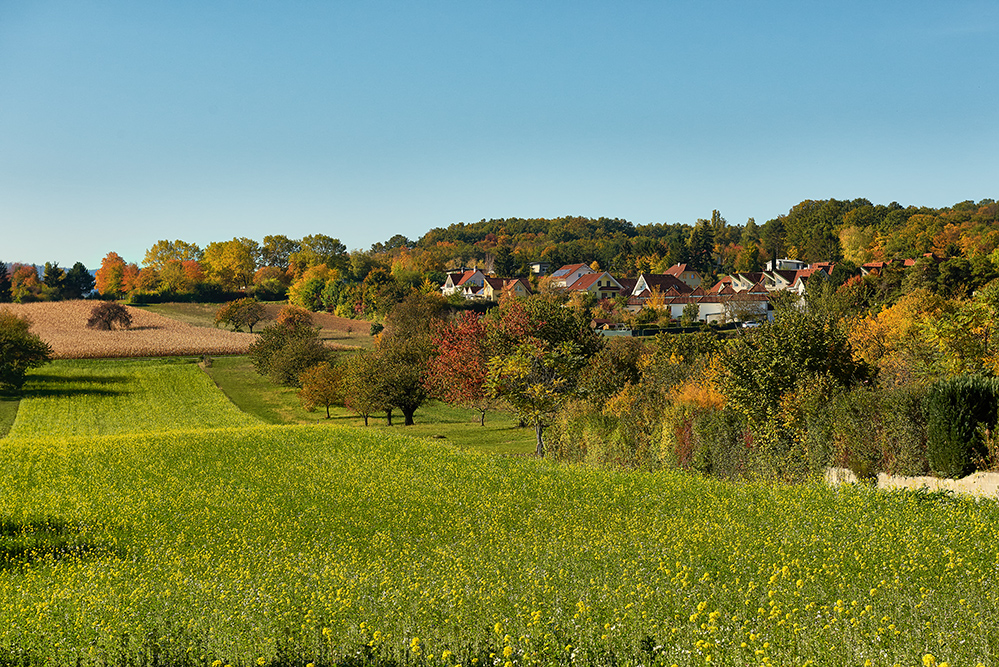 Das Dorf am Waldrand