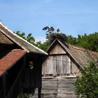 Das Dorf der Störche.