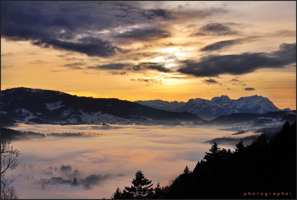 Das Dorf im Nebel