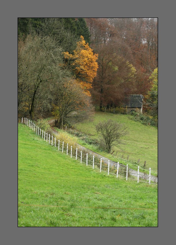 Das Dorf in dem ich lebe