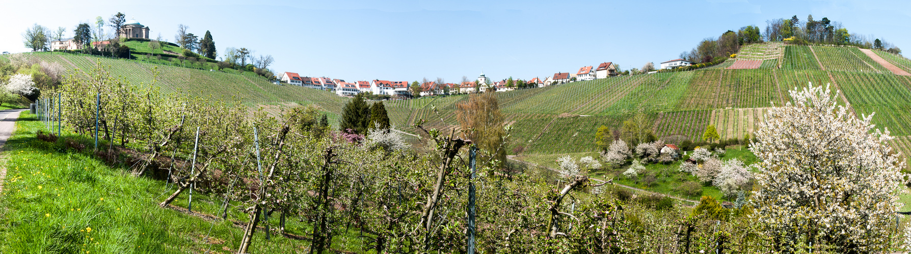 Das Dorf Rotenberg zwischen Württemberg und Götzenberg