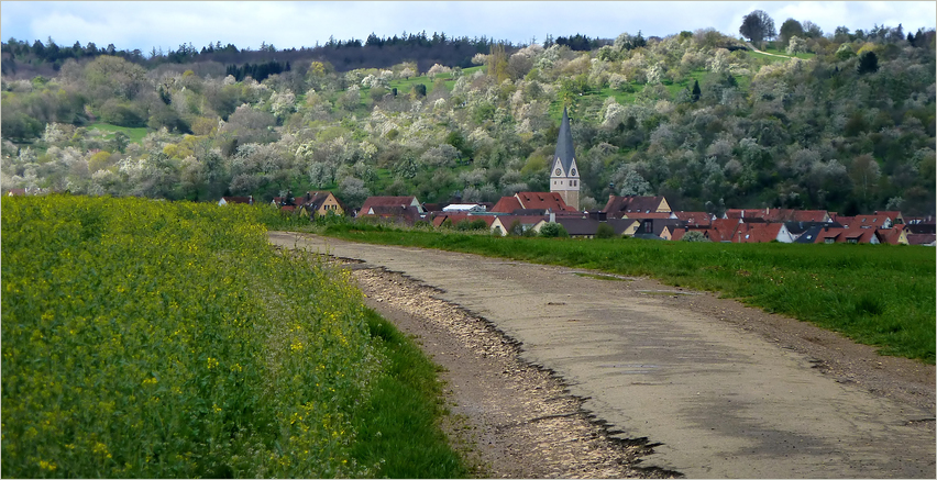 Das Dorf unterm Blütenberg