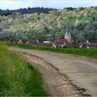 Das Dorf unterm Blütenberg