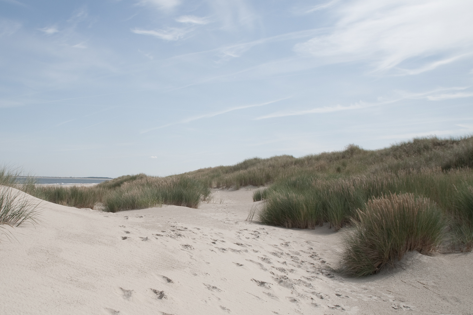 das Dornröschen der Nordsee