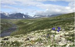 Das Dovrefjell in Norwegen