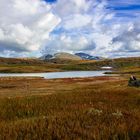 Das Dovrefjell Norwegen