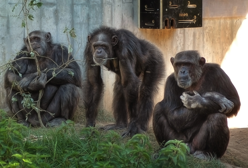 Das Dream Team vom Heidelberger Zoo