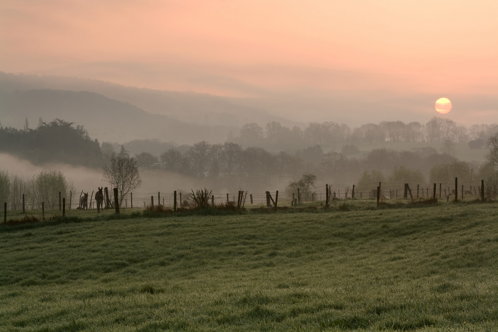 Das Dreiländereck im Morgennebel