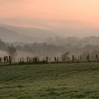 Das Dreiländereck im Morgennebel