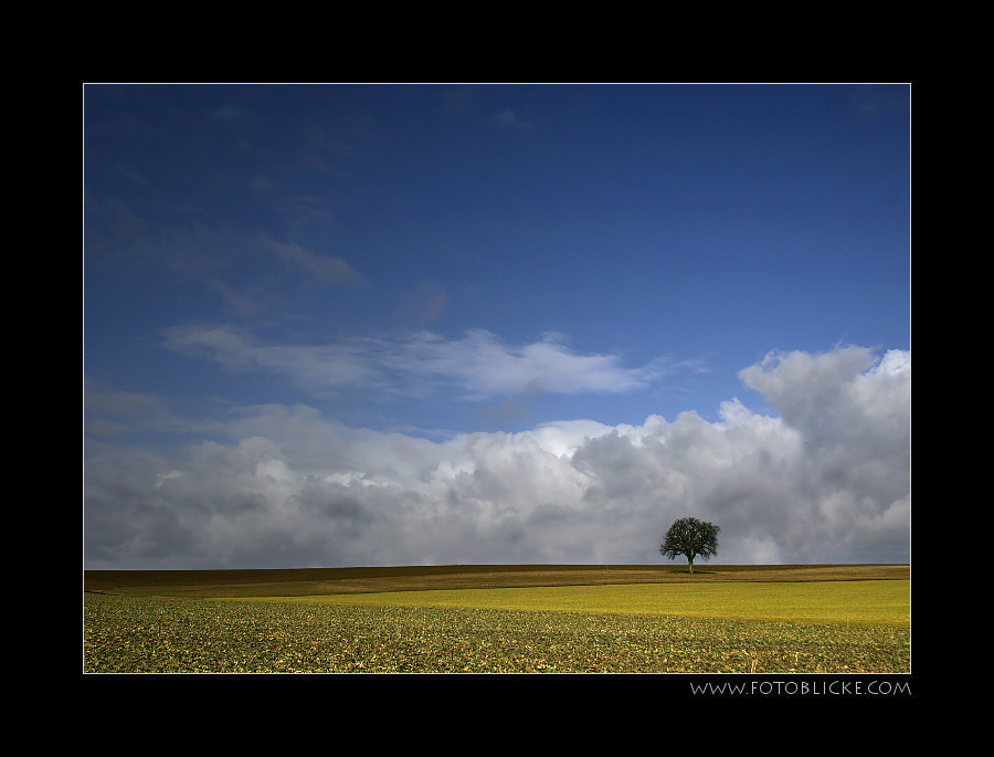 Das dürfte er doch nun sein, der Frühling ....