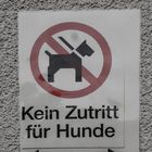 Das dumme Schild