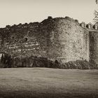 Das Dunstaffnage Castle...II...