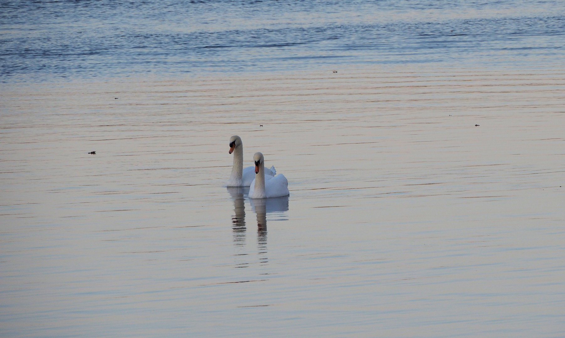 Das dynamische Duo ...