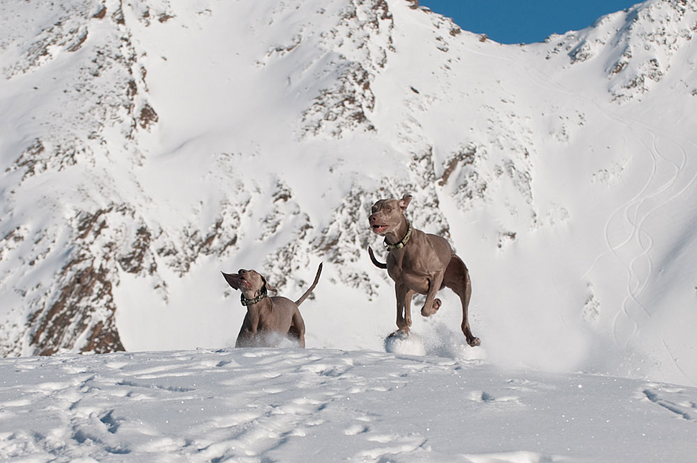 das dynamische Duo mischt den Schnee auf ;-)))