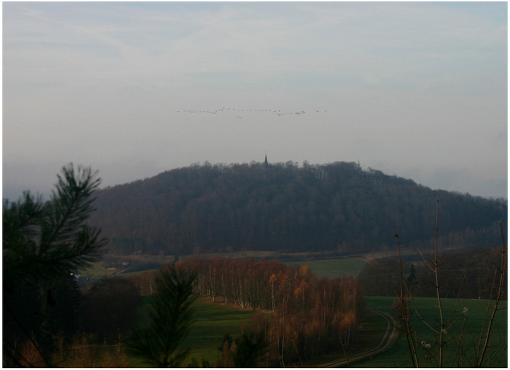 Das Eichsfeld im November - Kraniche über dem Hülfensberg