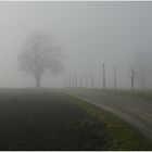 Das Eichsfeld im November - Morgennebel bei Effelder