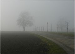 Das Eichsfeld im November - Morgennebel bei Effelder